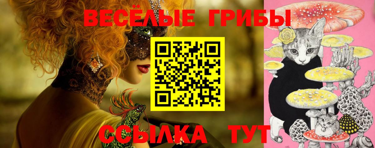 Псилоцибиновые грибы Psilocybine cubensis  Вход с VPN  Братск  Псилоцибиновые грибы ЛСД 